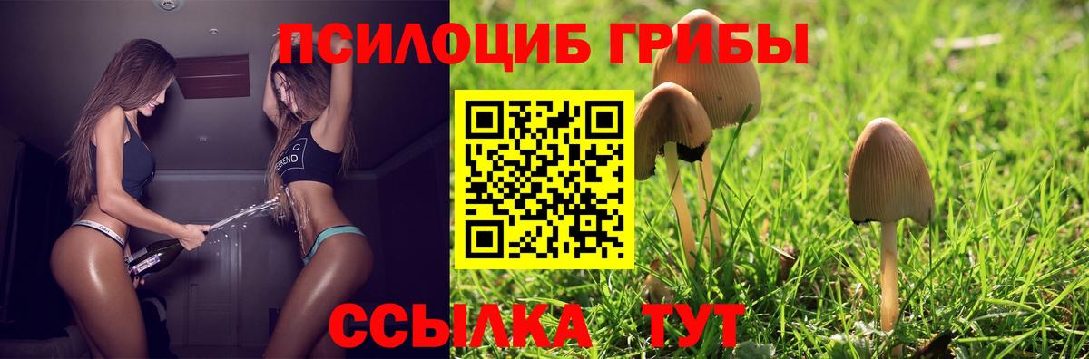 Галлюциногенные грибы GOLDEN TEACHER  Вход с VPN  Энгельс 